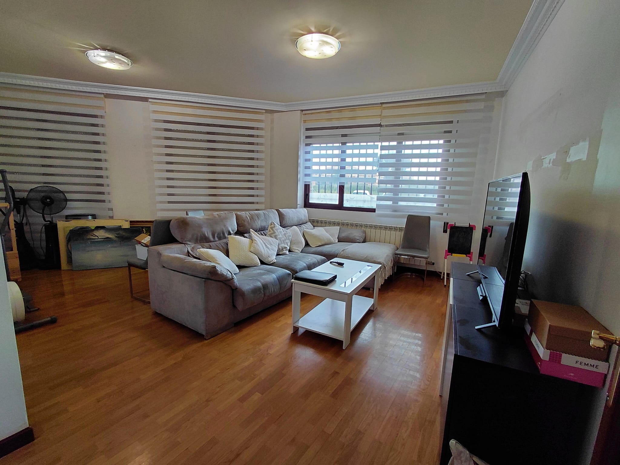 Main Property