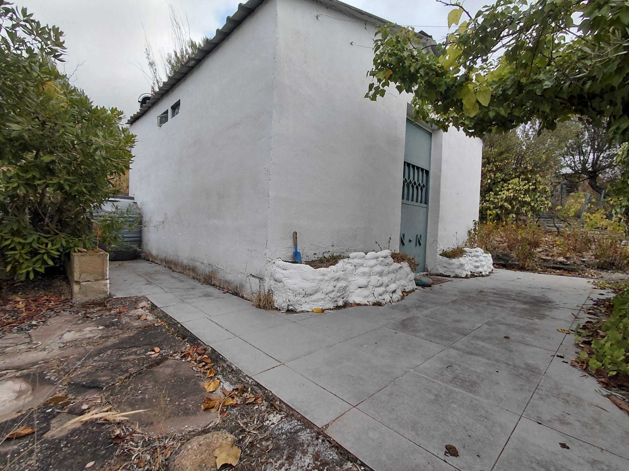 Main Property