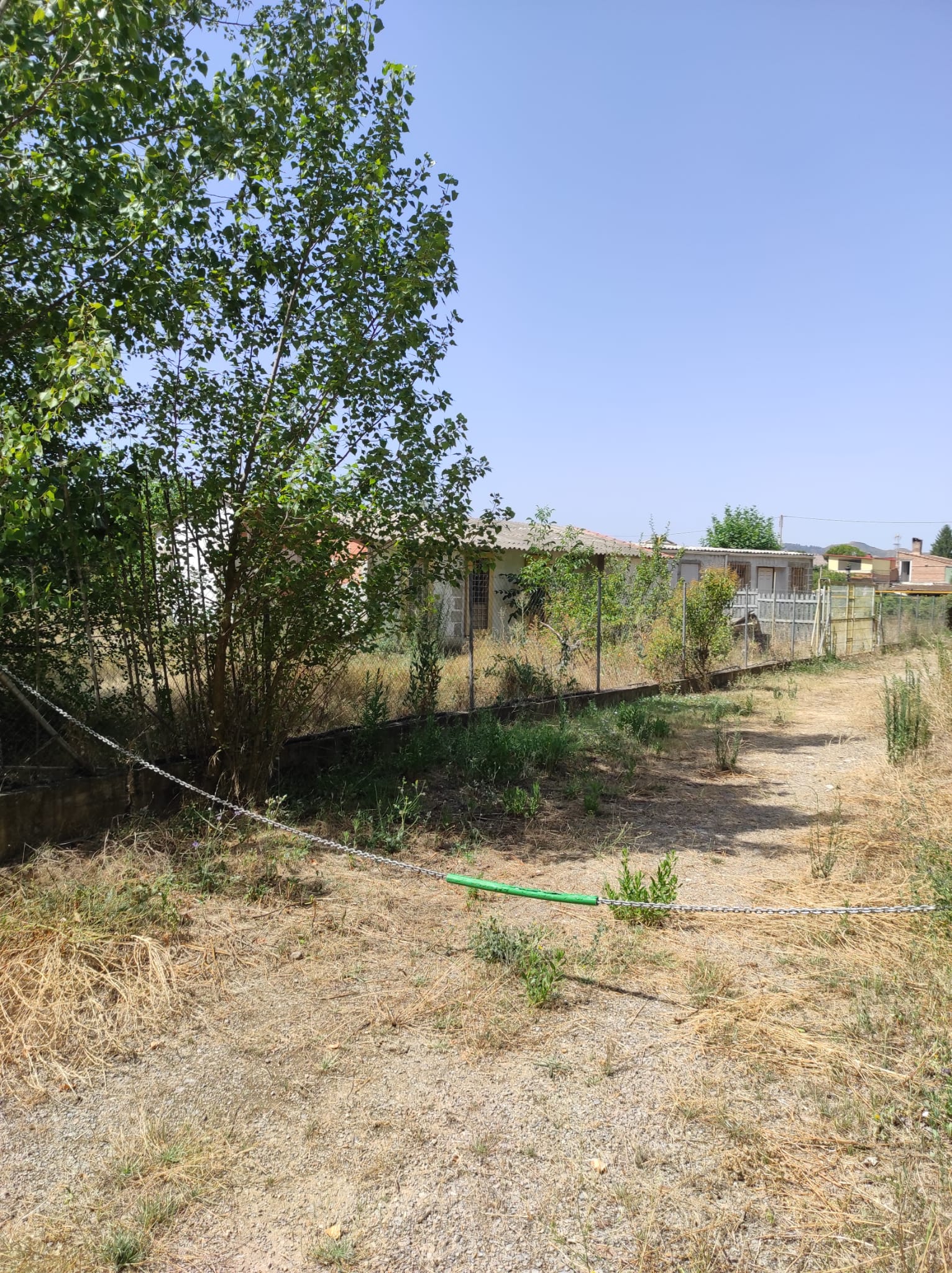 Imagen 2 de FINCA RUSTICA MAS CASITA DE 55 M 