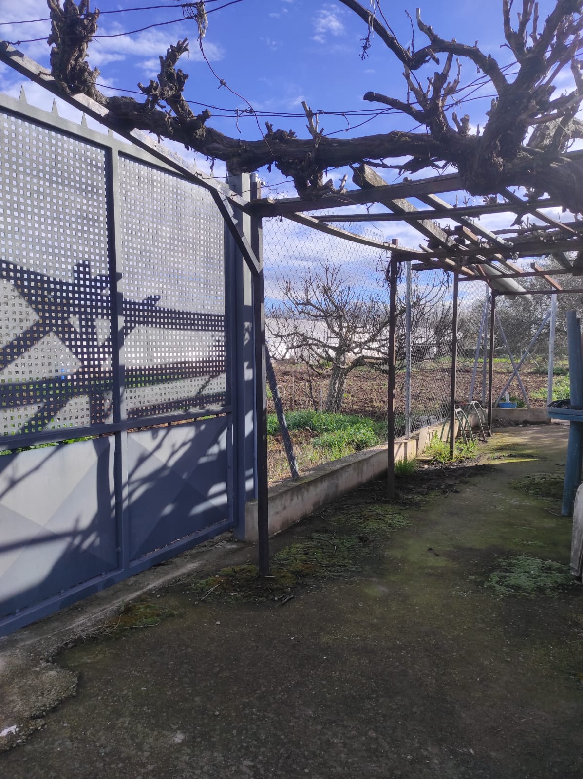 Imagen 0 de FINCA RUSTICA EN VAREA