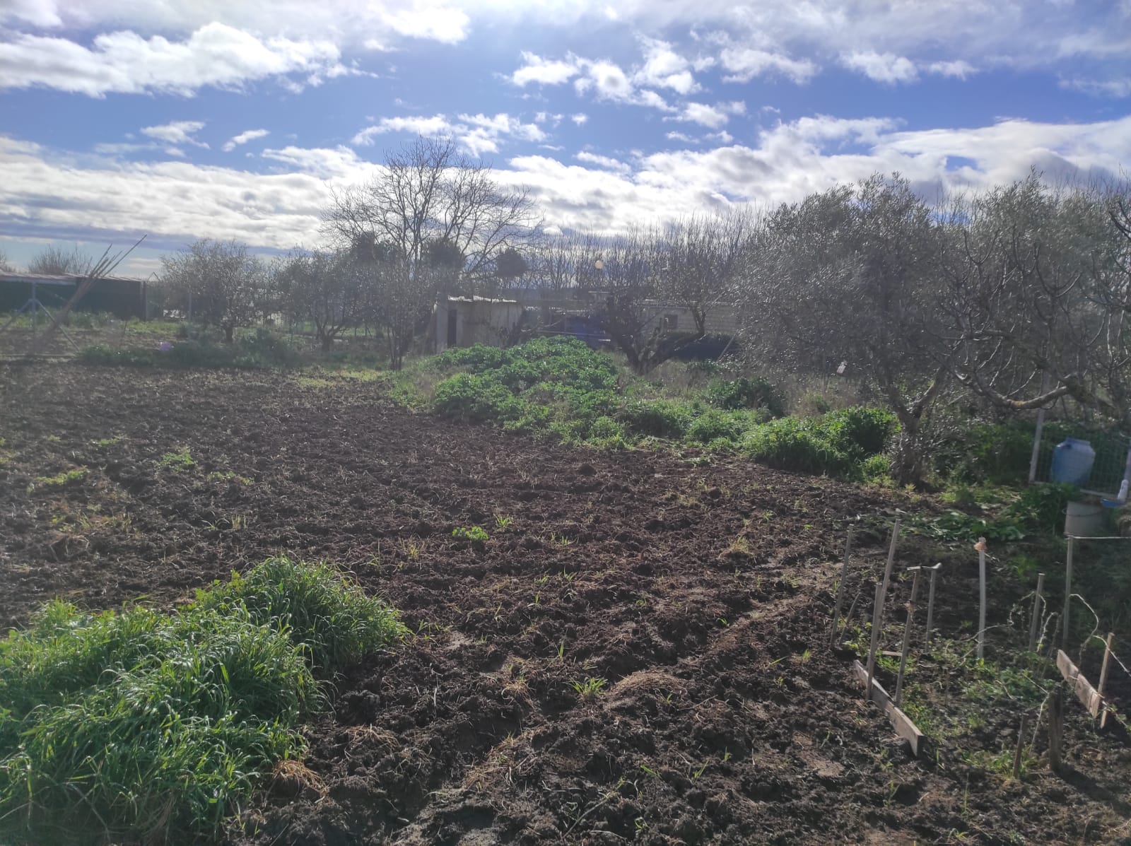 Imagen 3 de FINCA RUSTICA EN VAREA
