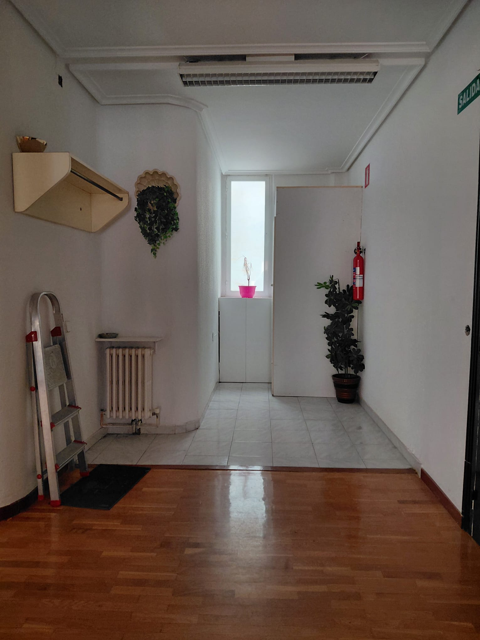 Imagen 3 de PISAZO EN ZONA COLON