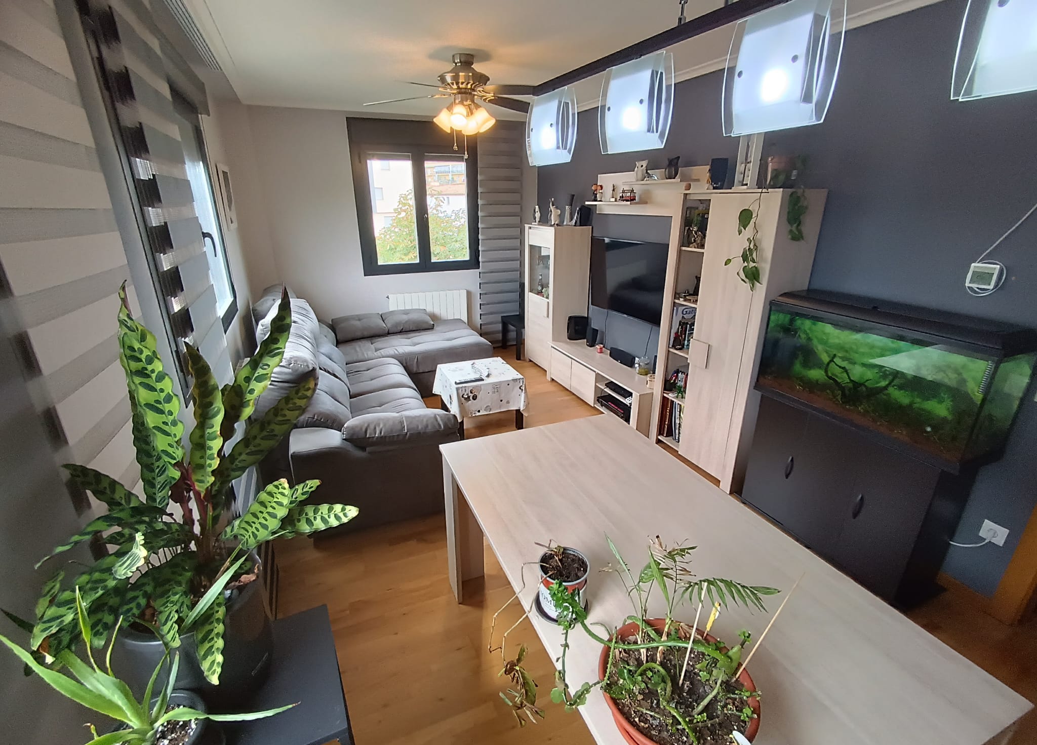 Imagen 2 de APARTAMENTO EN VAREA